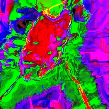 Fame Is a Type of Hoarding