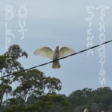 Birding Out by Sienna Thornton - album cover