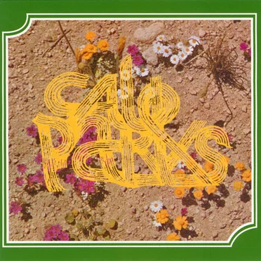 Illuminated Manuscript by Cale Parks - album cover