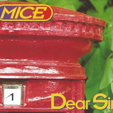 Dear Sir
