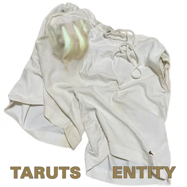 Entity