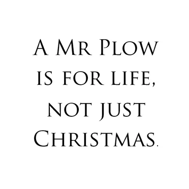Mr Plow