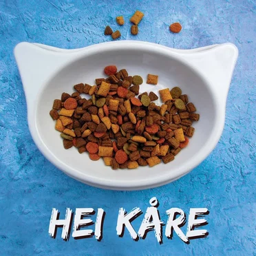 Hei Kåre