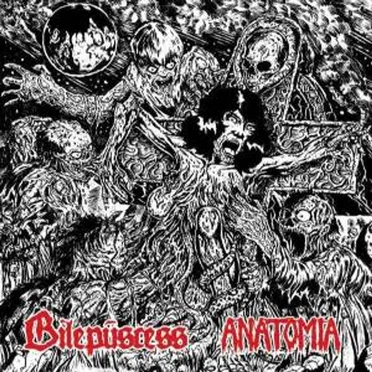 Anatomia / Bilepuscess