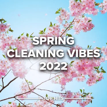 Spring Cleaning Vibes 2022 by Various Artists - album cover