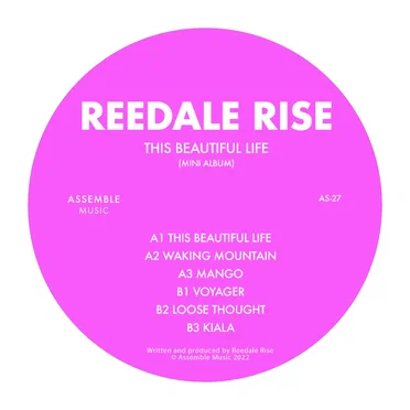 This Beautiful Life by Reedale Rise - album cover