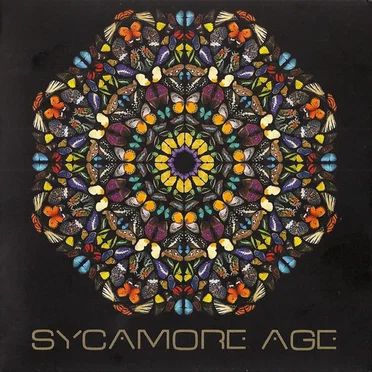 Sycamore Age by Sycamore Age - album cover