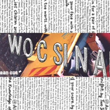 Art's equivalent to MFI with his Rolls Royce of builders' skip by Twocsinak - album cover