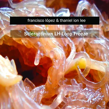 Scleractinian LH-Loop Freeze