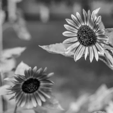 Happy Mother’s Day