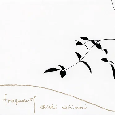 fragments