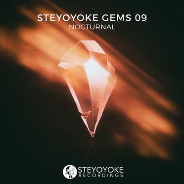Steyoyoke Gems Nocturnal 09 by Various Artists - album cover