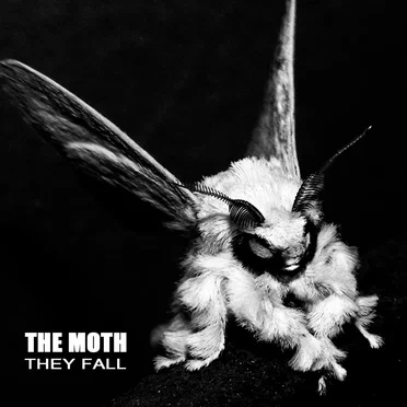 They Fall by The Moth - album cover