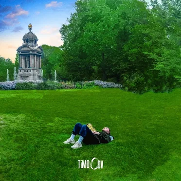 We Here To Stay by TiMO ODV - album cover