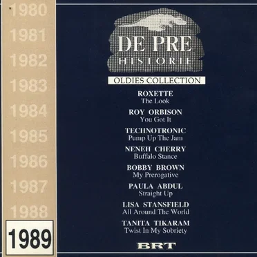 De Pre Historie 1989 by Various Artists - album cover