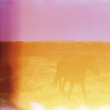 Jo estava que m’abrasava