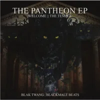 Blak Twang artist image