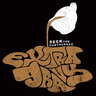 Extra Gravy by Seek the Northerner - album cover