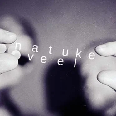 Natuke veel by DVPH - album cover