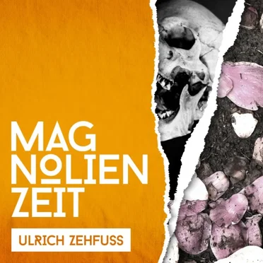 Magnolienzeit by Ulrich Zehfuß - album cover