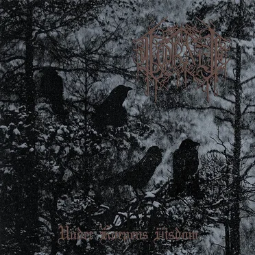 Under korpens visdom by Törnen - album cover