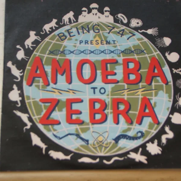 Amoeba to Zebra