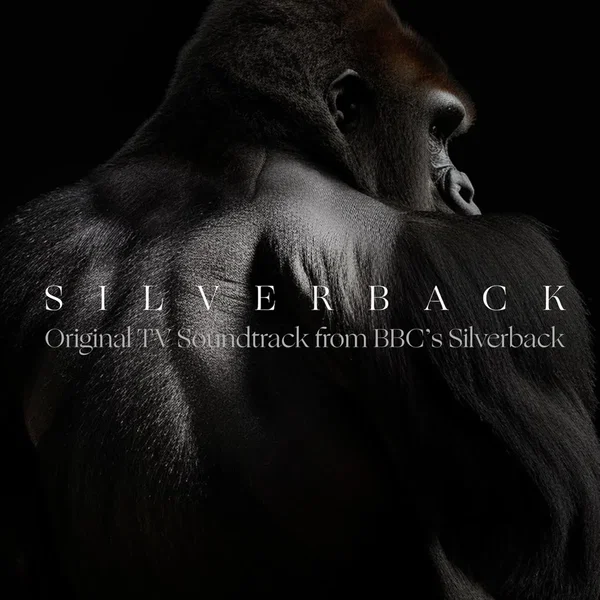 Silverback (from "BBC's Silverback")