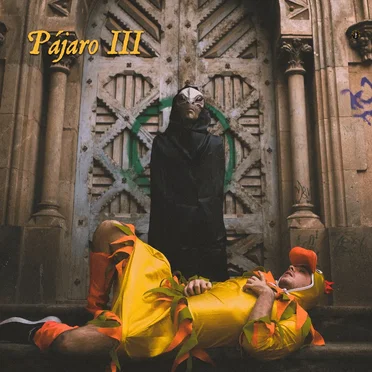 Pájaro III by Pájaro - album cover