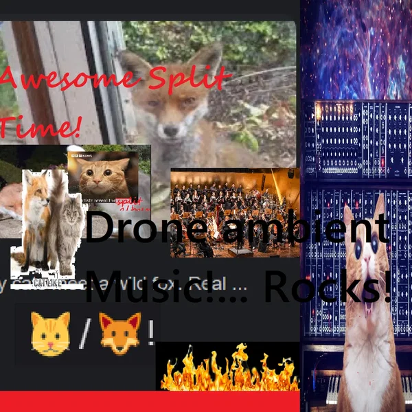 🐱 / 🦊