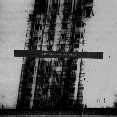 Ark by Curtains - album cover