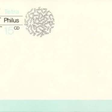 Tetra