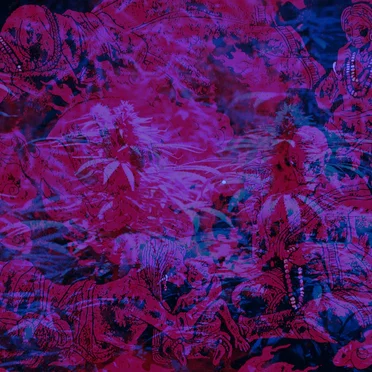 Buddha's Dealer