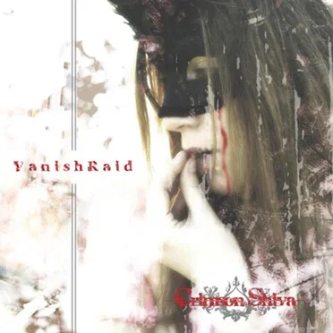 VanishRaid