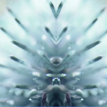 Textural Radiation