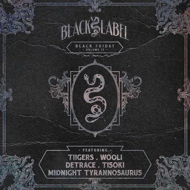 Black Friday, Vol. 17 by Various Artists - album cover