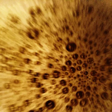 Soundtrack for This Insignificant Existence (Part Seven)