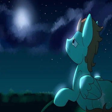 Between the Stars and the Sea