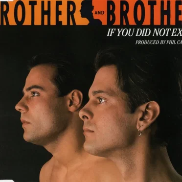 If You Did Not Exist by Brother And Brother - album cover