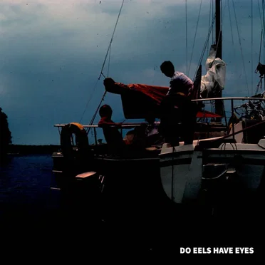 Do Eels Have Eyes