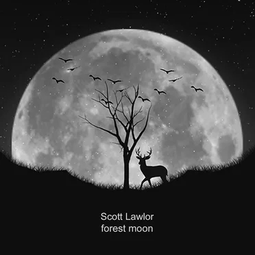 Forest Moon