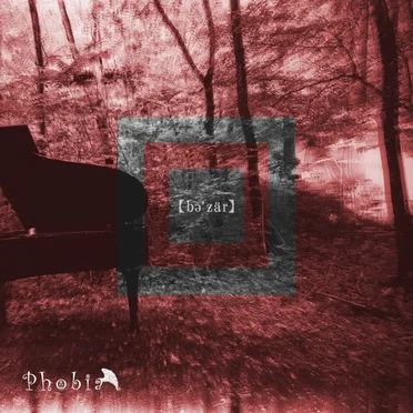 【bə'zär】