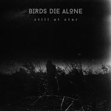 Still at Star by Birds Die Alone - album cover