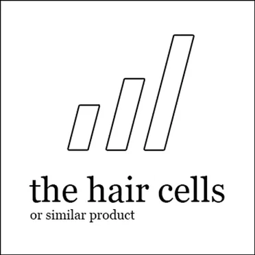 Non-Album Tracks by the hair cells - album cover