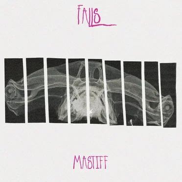 Mastiff by Falls - album cover