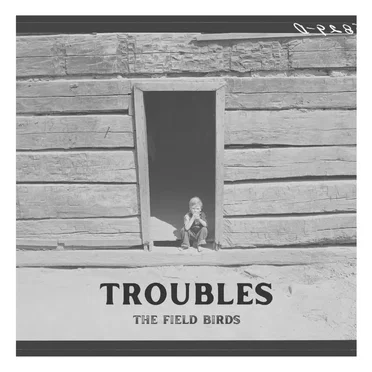 Troubles by The Field Birds - album cover
