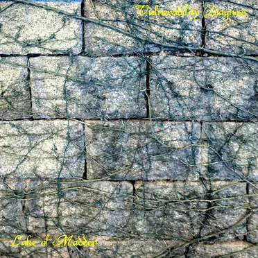 Vulnerability Diagnosis by Lake of Madder - album cover