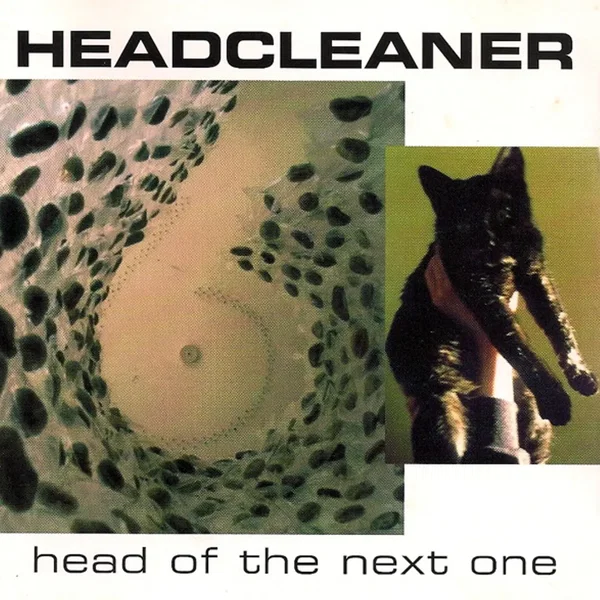 Head of the Next One