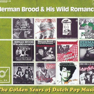 The Golden Years of Dutch Pop Music