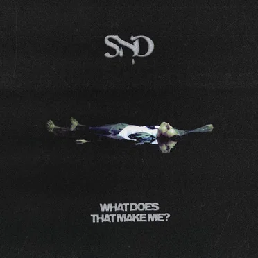 What Does That Make Me? by Sad Night Dynamite - album cover