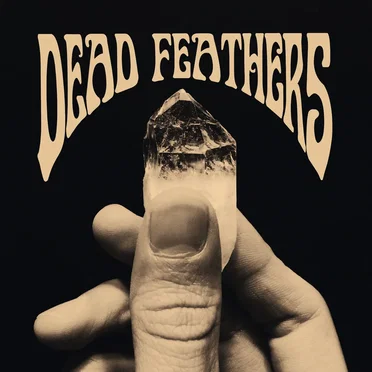 Dead Feathers EP by Dead Feathers - album cover